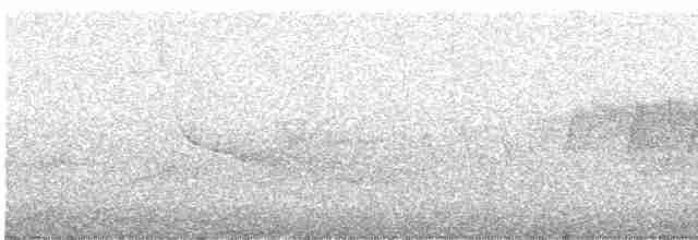 Cerulean Warbler - ML339890251