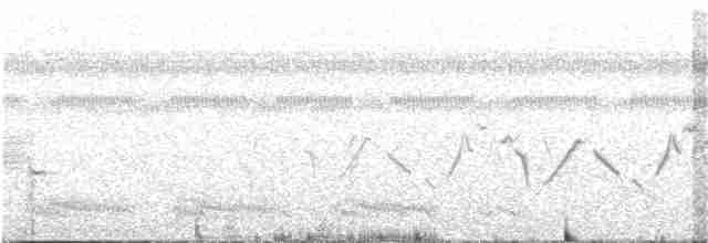 Приморская овсянка-барсучок (mirabilis) - ML339987631