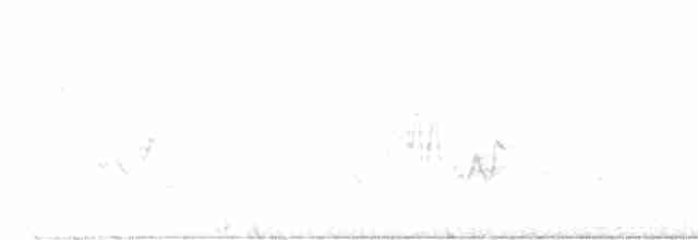Kentucky Warbler - ML340078961