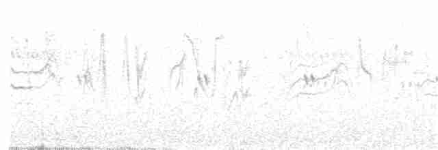 Нильская нектарница - ML340113691