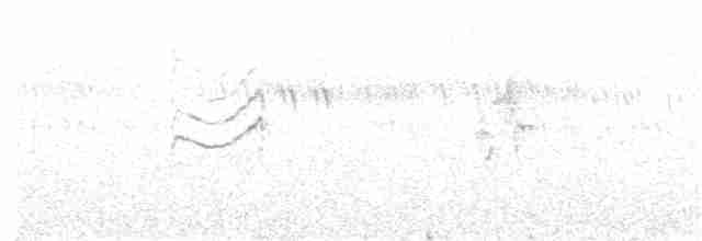 Нильская нектарница - ML340113701