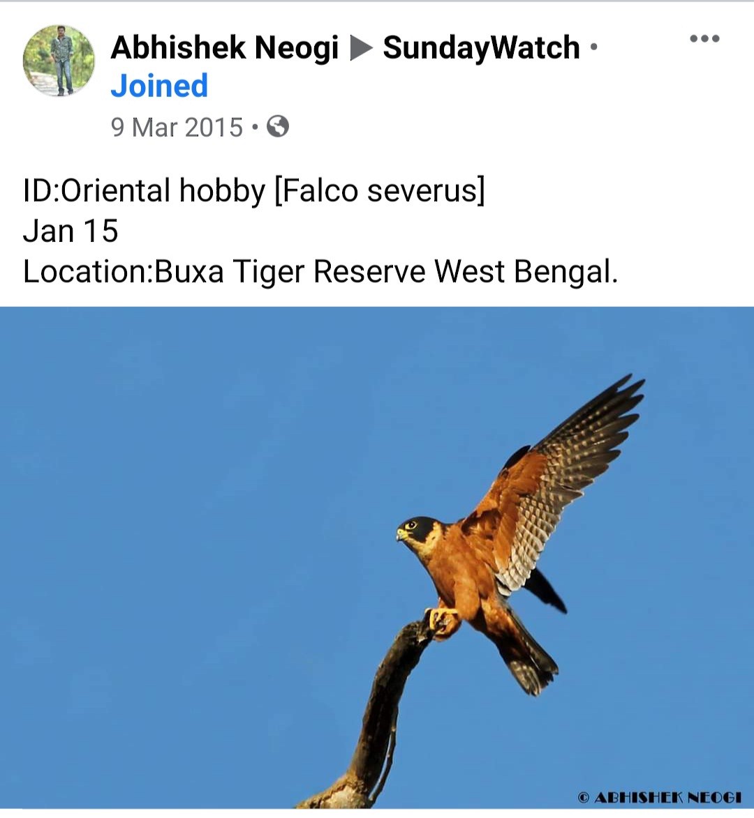 Oriental Hobby - Birdwatchers' Society of Bengal