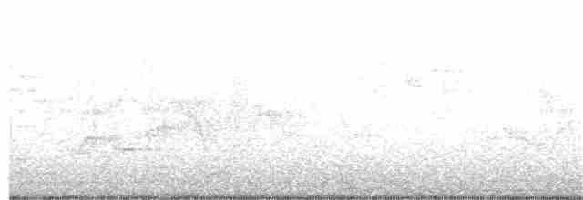 Пестрогорлый соловьиный дрозд - ML340141581