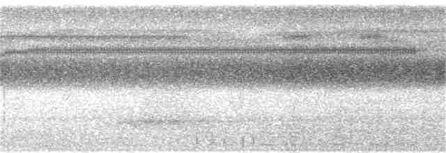 Siffleur de Waigeo - ML340147971