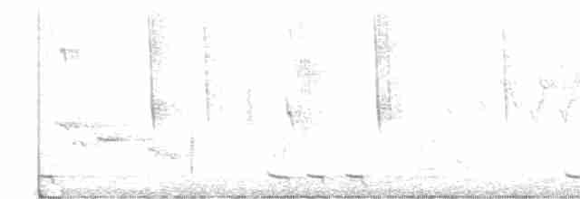 Black-billed Cuckoo - ML340157071
