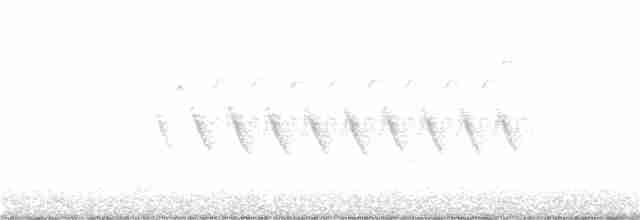 Пісняр-лісовик жовтогузий (підвид coronata) - ML340173401