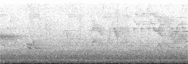 Bicknell Bülbül Ardıcı - ML340183961