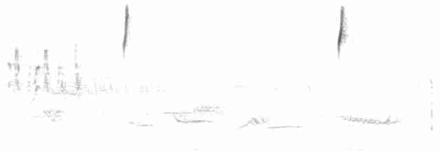 Пустынная овсянка [группа botterii] - ML340187101