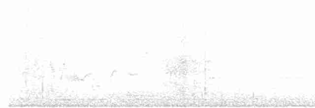 Black-billed Cuckoo - ML340187161