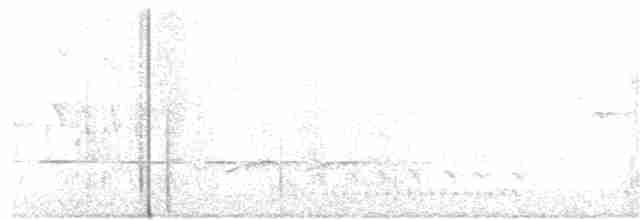 Black-billed Cuckoo - ML340187401