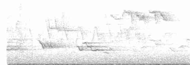 Tennessee Warbler - ML340196851