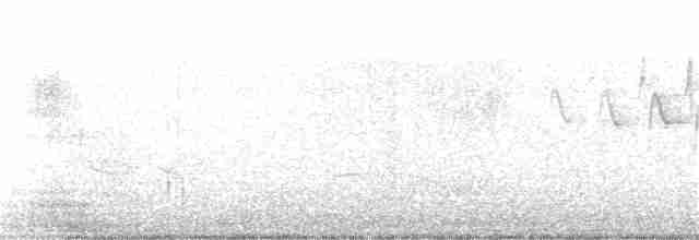 Горихвостковая древесница - ML340228771