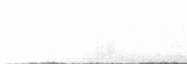 Oriole des vergers - ML340235511