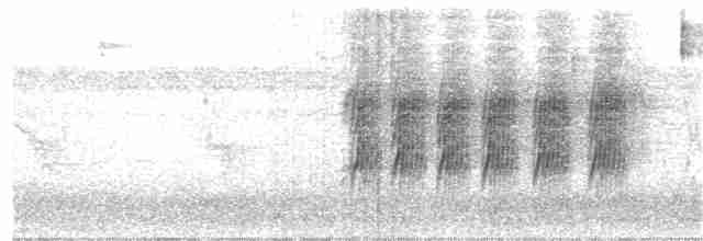 kastanjebukeufonia - ML340276861