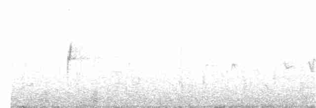 Vireo Ojiblanco - ML340298531