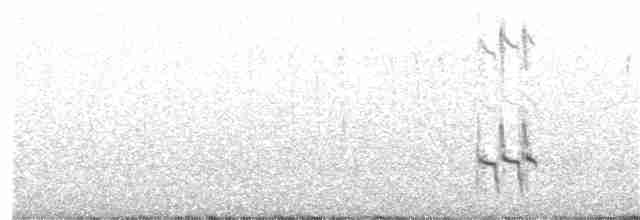 Короткоклювый бекасовидный веретенник - ML340320411