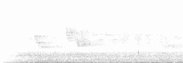 Tennessee Warbler - ML340342101