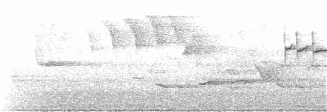 Голубокрылая червеедка - ML340342771