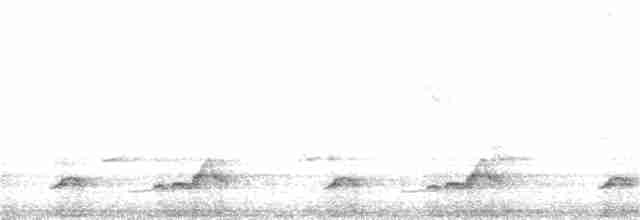 Schwarzkehl-Nachtschwalbe - ML340347441