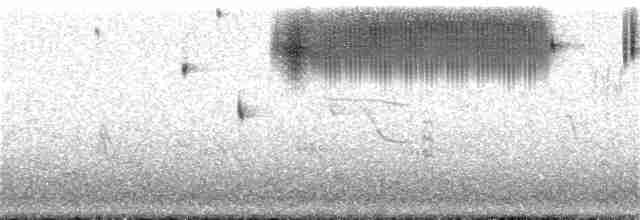 Çekirge Sesli Çayır Serçesi - ML340422511