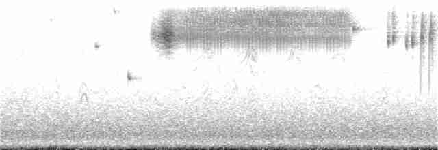 Çekirge Sesli Çayır Serçesi - ML340422521