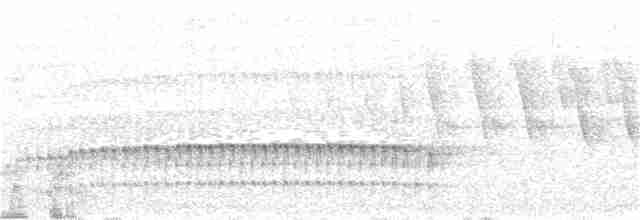 Дятел-смугань сіроголовий - ML340425741