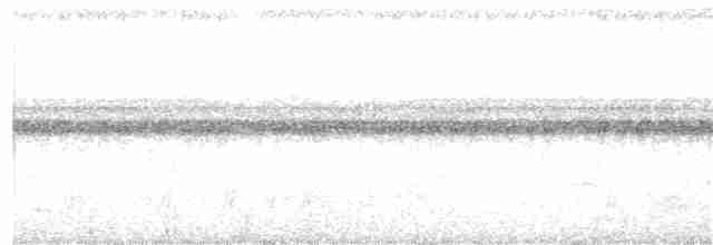 Скрытохвост татаупа - ML340451091