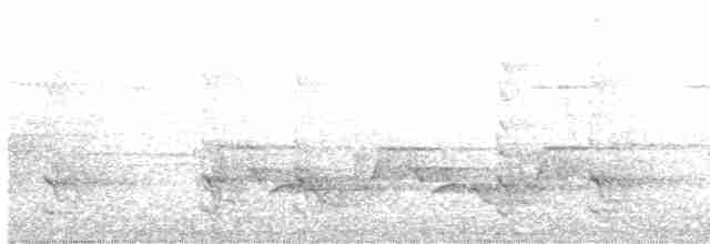 Acadian Flycatcher - ML340461651