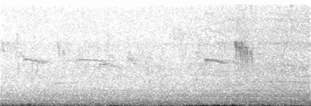 白喉文鳥 - ML340465001