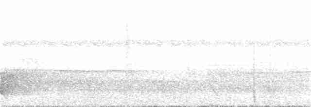 Oriole Whistler - ML34048191