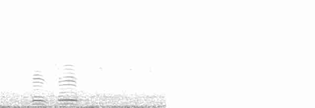 Cisne Trompetero - ML340527931