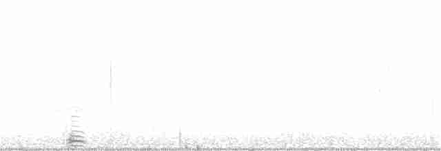 Cygne trompette - ML340528001