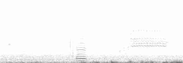 Cisne Trompetero - ML340528071