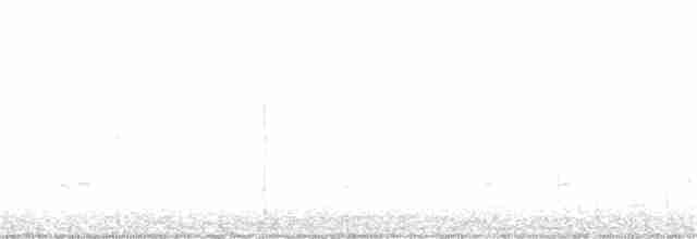 アメリカヒバリシギ - ML340528301