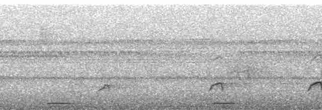 kukačka veverčí [skupina cayana] - ML34053