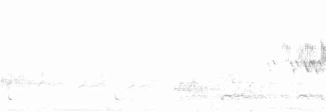 Cerulean Warbler - ML340553481