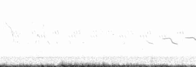 Карнатка польова - ML340569961