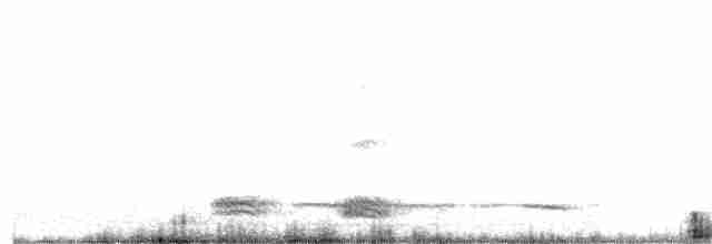 Corneille de rivage - ML340592551