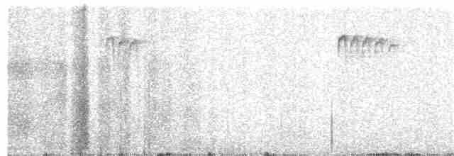 Orite buissonnière (groupe melanotis) - ML340628981