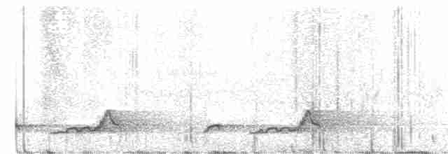 Schwarzkehl-Nachtschwalbe - ML340687161