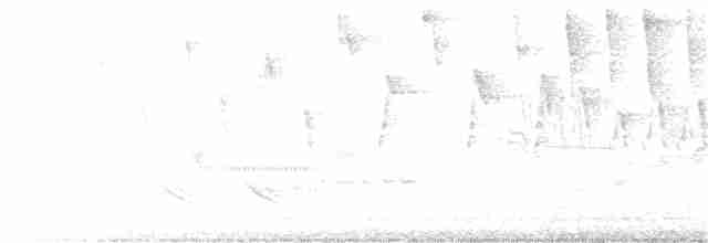 Червоїд сіроголовий - ML340698651