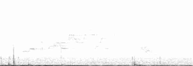 Дрізд-короткодзьоб Cвенсона - ML340699111