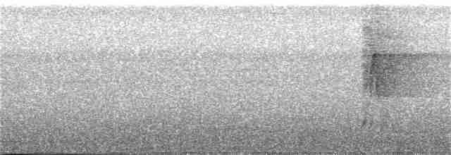 Сверкающий дронго - ML34070621
