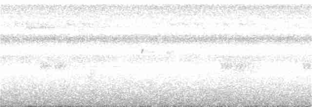 rødknoppkeiserdue - ML34071061