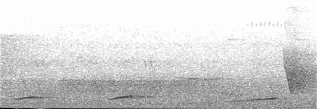 Голуб-довгохвіст чубатий - ML34074411