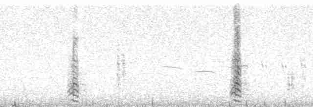 Синекрылый чирок - ML3408