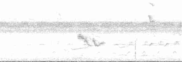 Gray-crowned Yellowthroat - ML340809131