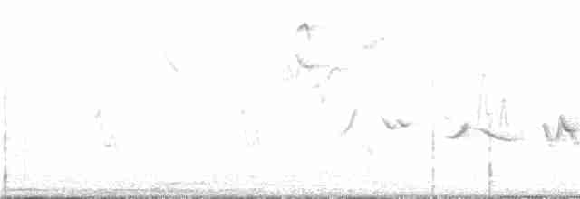 Жовтогорлик сіроголовий - ML340809461