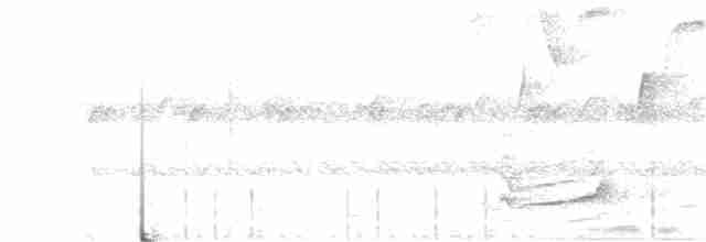 svarthettekjerrspurv - ML340852401