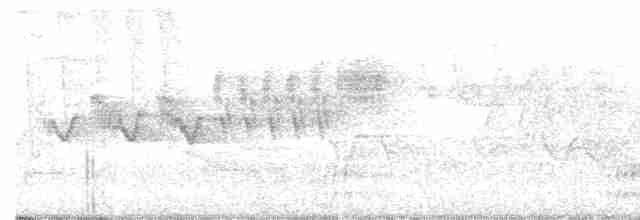 Cerulean Warbler - ML340958691
